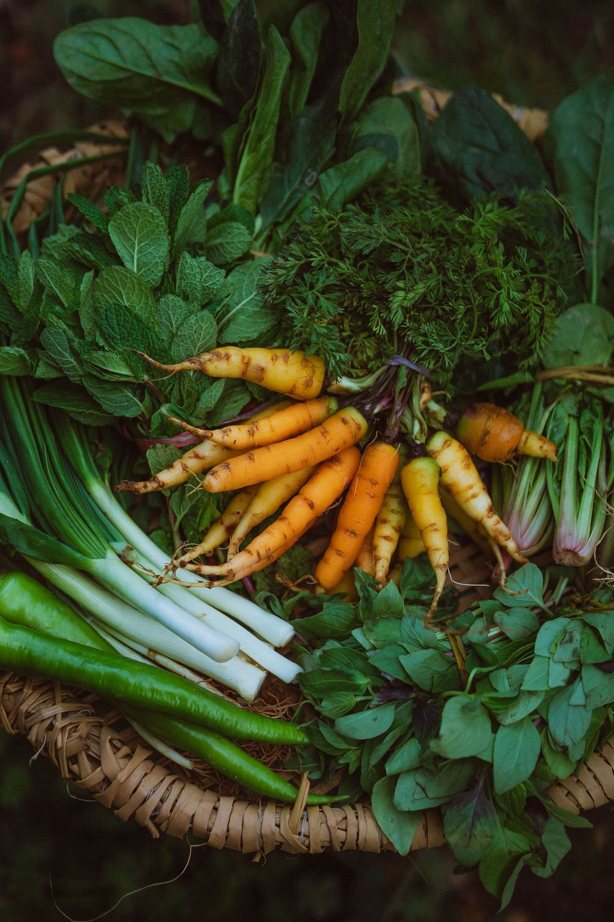 Producto de agricultura ecológica en cesta de mimbre