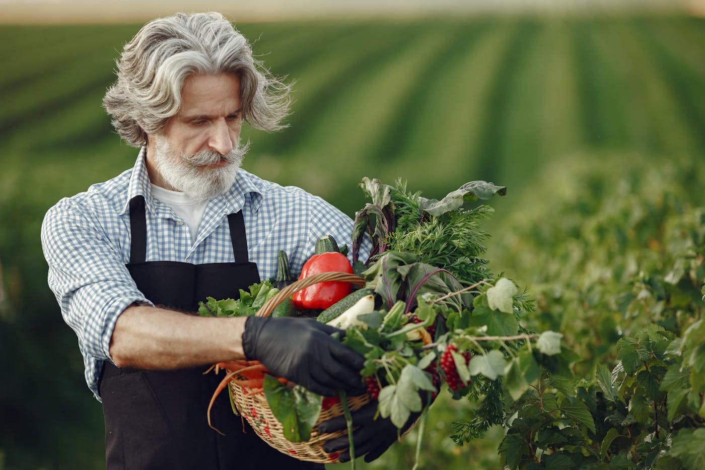 Agricultor con cesta de hortalizas recién recolectadas